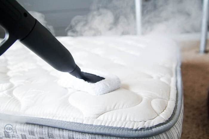 Therma-Kleen Keeps Bed Bugs From Biting