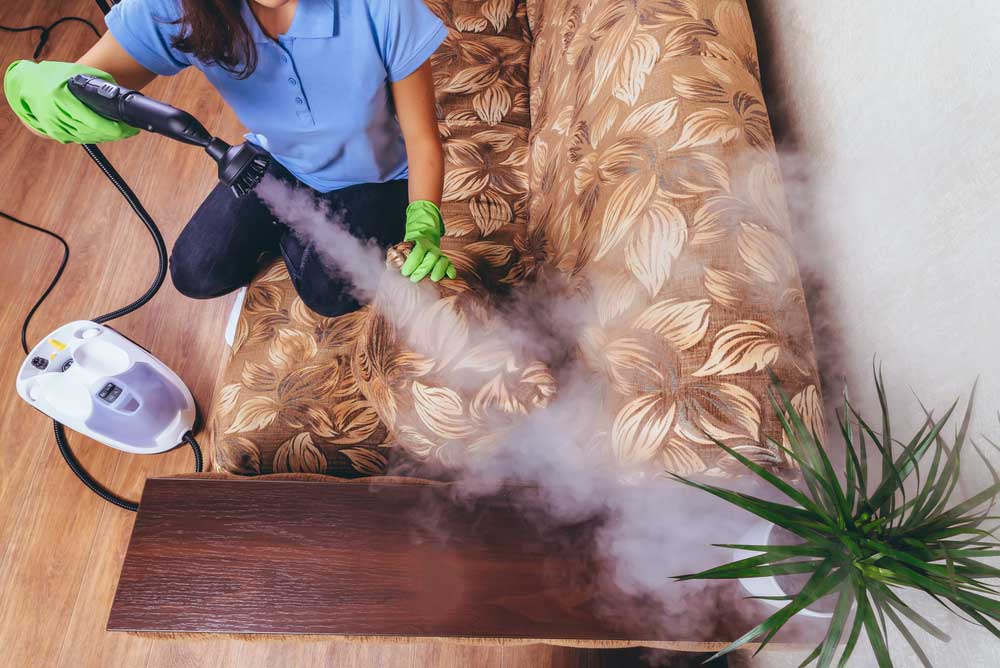 Dry vapor steam cleaning
